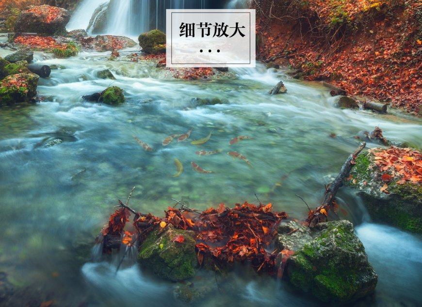 受困的西红柿